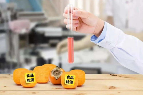 江蘇食品安全專項抽檢結果公布 合格率高達99.38%，藥品零售領域同步加強監管